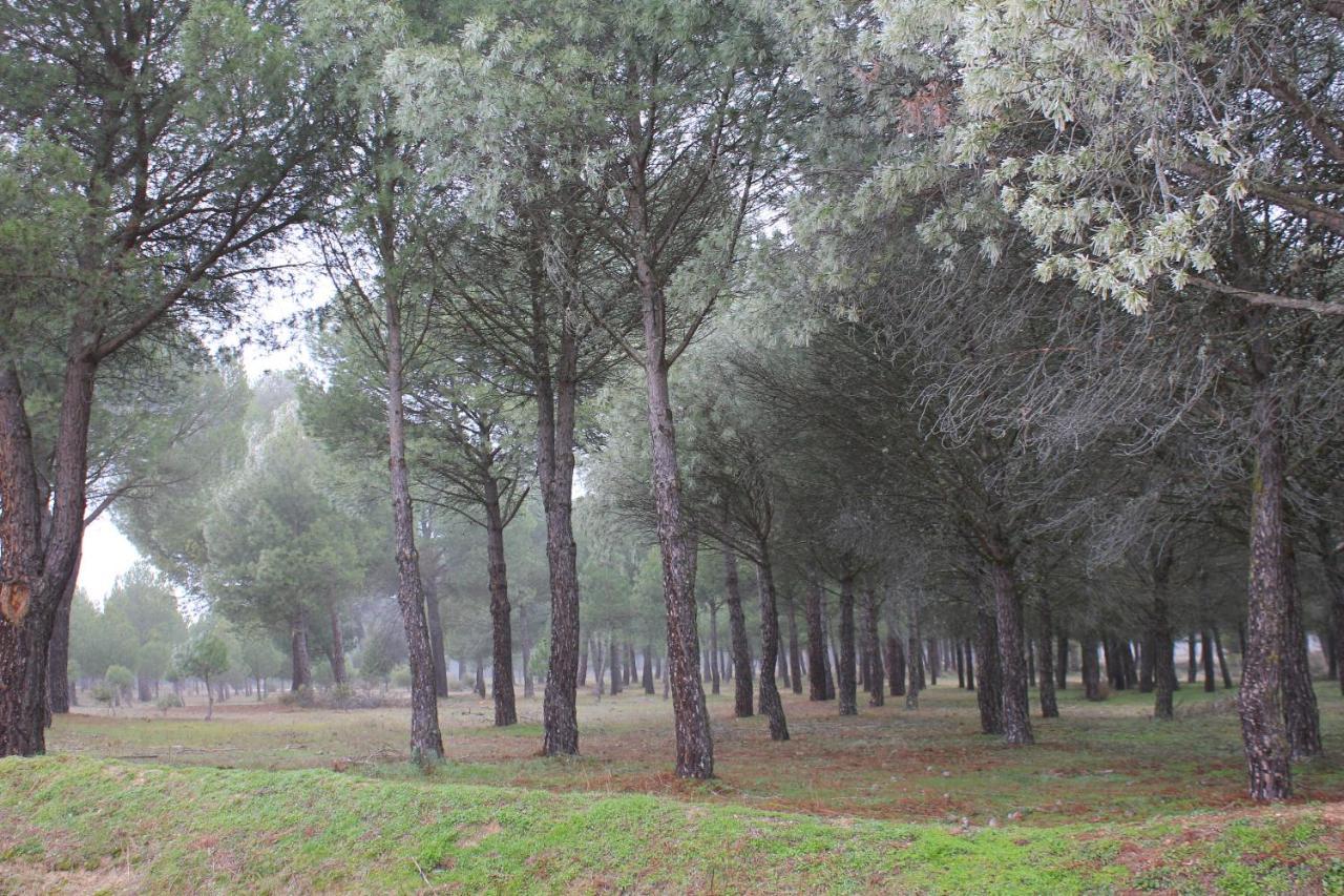 Las Gavias Matapozuelos المظهر الخارجي الصورة