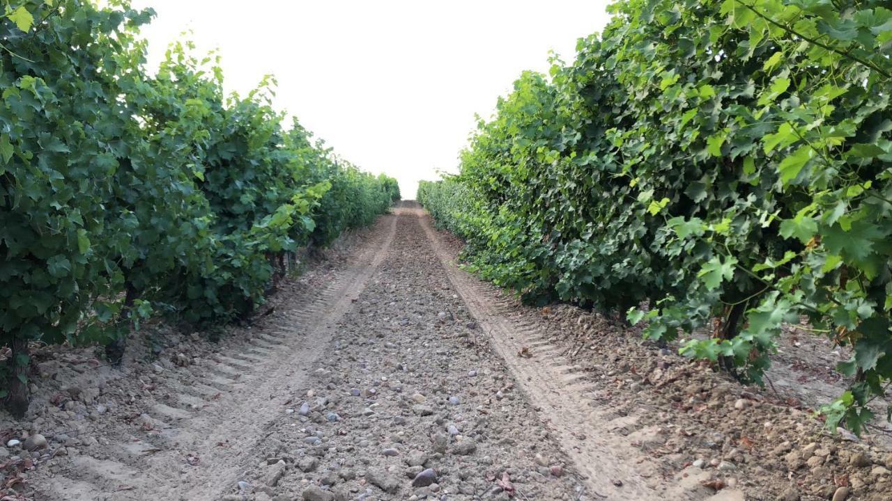Las Gavias Matapozuelos المظهر الخارجي الصورة